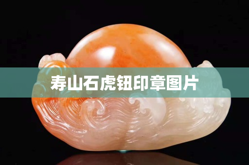 壽山石虎鈕印章圖片