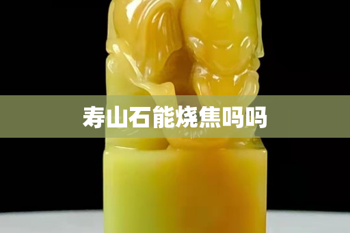 壽山石能燒焦嗎嗎