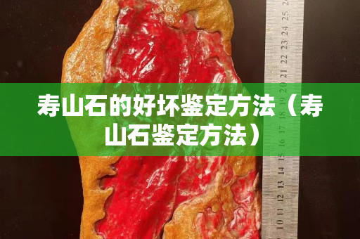 壽山石的好壞鑒定方法（壽山石鑒定方法）