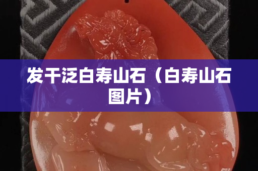 發(fā)干泛白壽山石（白壽山石圖片）