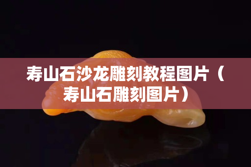 壽山石沙龍雕刻教程圖片（壽山石雕刻圖片）