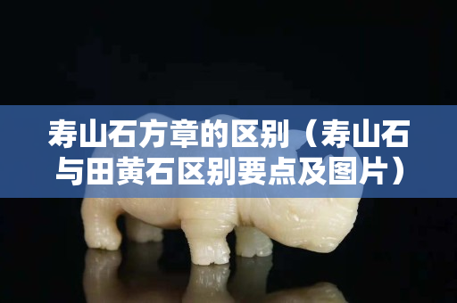 壽山石方章的區別（壽山石與田黃石區別要點及圖片）