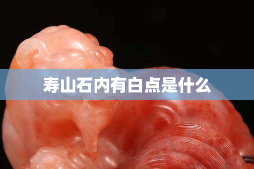 壽山石內(nèi)有白點(diǎn)是什么