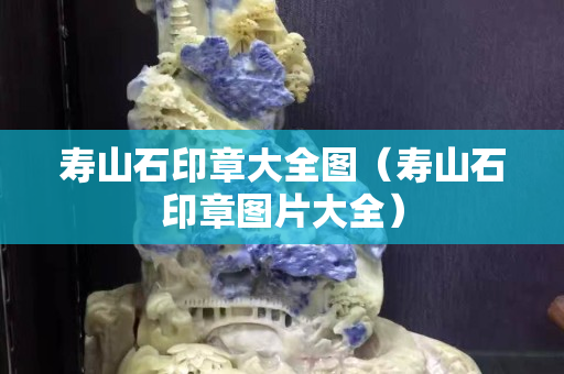 壽山石印章大全圖（壽山石印章圖片大全）