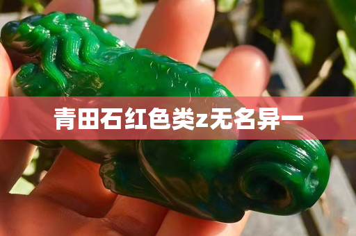 青田石紅色類z無(wú)名異一 青田石紅色類z無(wú)名異一