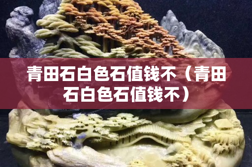 青田石白色石值錢不（青田石白色石值錢不）