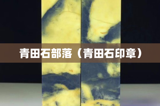 青田石部落(青田石印章) 青田石部落(青田石印章)