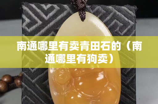 南通哪里有賣青田石的（南通哪里有狗賣）