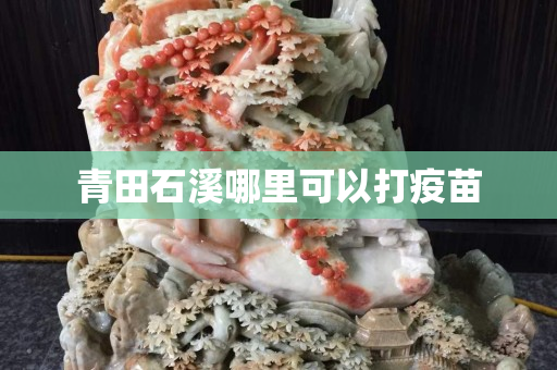 青田石溪哪里可以打疫苗