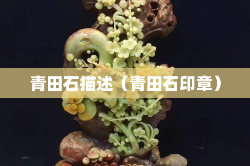 青田石描述(青田石印章) 青田石描述(青田石印章)