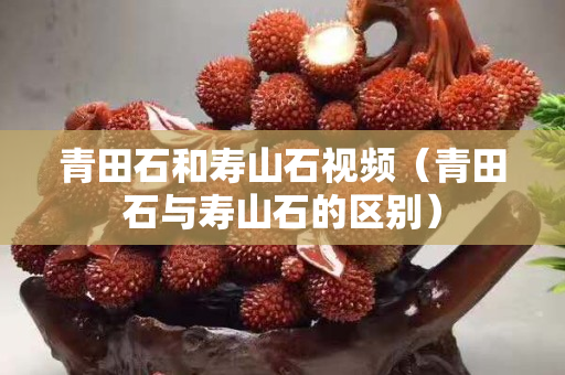 青田石和壽山石視頻(青田石與壽山石的區別) 青田石和壽山石視頻(青田石與壽山石的區別)