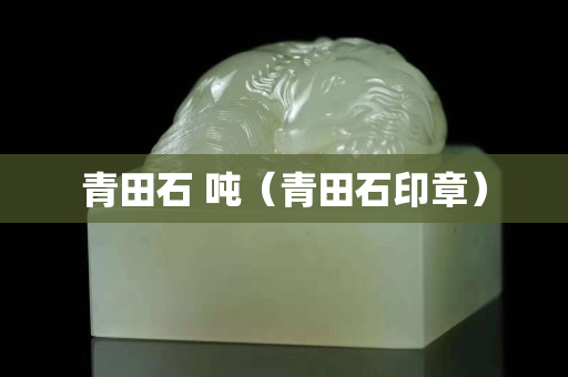 青田石 噸(青田石印章) 青田石 噸(青田石印章)