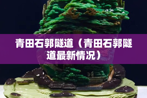 青田石郭隧道(青田石郭隧道最新情況) 青田石郭隧道(青田石郭隧道最新情況)