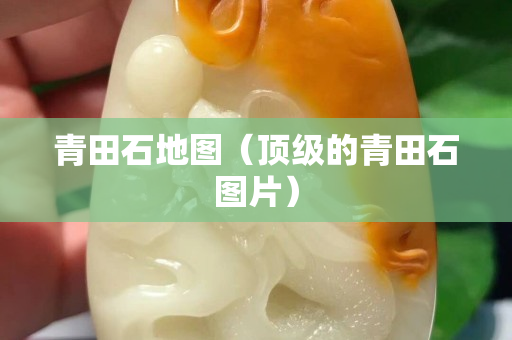 青田石地圖(頂級的青田石圖片) 青田石地圖(頂級的青田石圖片)