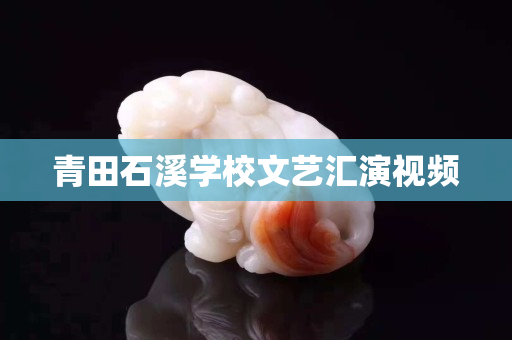 青田石溪學校文藝匯演視頻 青田石溪學校文藝匯演視頻