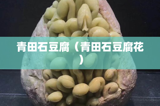 青田石豆腐(青田石豆腐花) 青田石豆腐(青田石豆腐花)