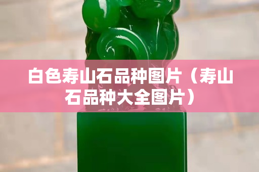白色壽山石品種圖片（壽山石品種大全圖片）