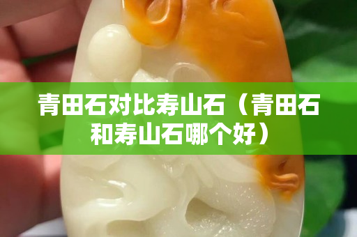 青田石對比壽山石(青田石和壽山石哪個好) 青田石對比壽山石(青田石和壽山石哪個好)