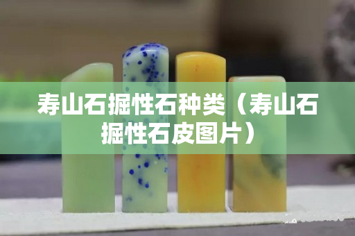 壽山石掘性石種類(壽山石掘性石皮圖片) 壽山石掘性石種類(壽山石掘性石皮圖片)