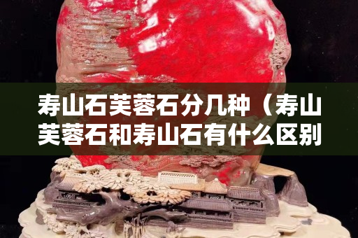 壽山石芙蓉石分幾種(壽山芙蓉石和壽山石有什么區別) 壽山石芙蓉石分幾種(壽山芙蓉石和壽山石有什么區別)