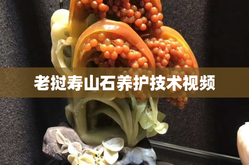 老撾壽山石養(yǎng)護技術(shù)視頻 老撾壽山石養(yǎng)護技術(shù)視頻