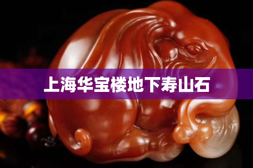 上海華寶樓地下壽山石