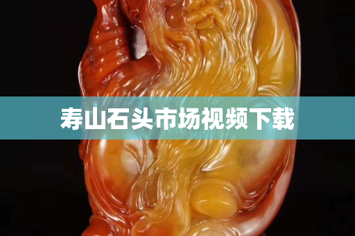 壽山石頭市場視頻下載 壽山石頭市場視頻下載