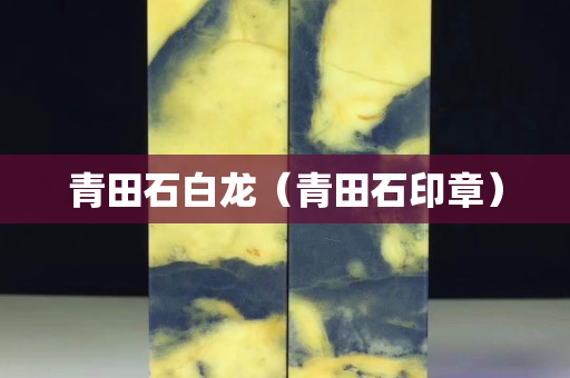 青田石白龍(青田石印章) 青田石白龍(青田石印章)