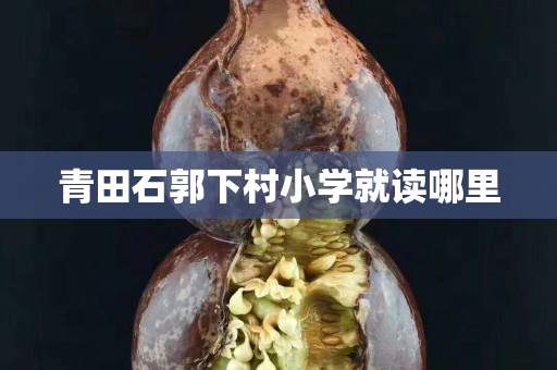 青田石郭下村小學就讀哪里 青田石郭下村小學就讀哪里