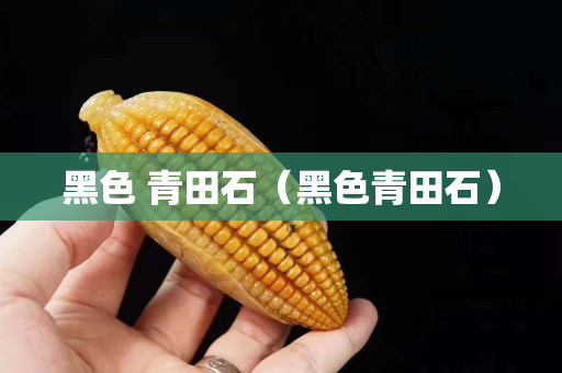 黑色 青田石（黑色青田石）