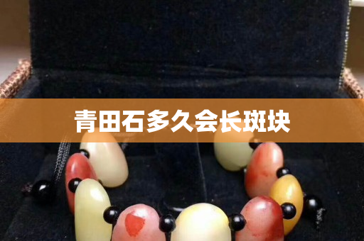 青田石多久會長斑塊