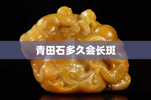 青田石多久會長斑 青田石多久會長斑