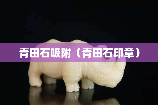 青田石吸附(青田石印章) 青田石吸附(青田石印章)