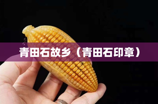 青田石故鄉(xiāng)(青田石印章) 青田石故鄉(xiāng)(青田石印章)