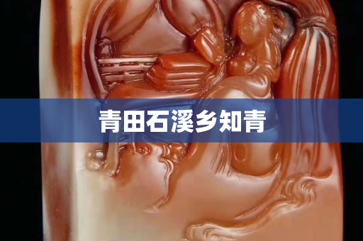 青田石溪鄉知青 青田石溪鄉知青