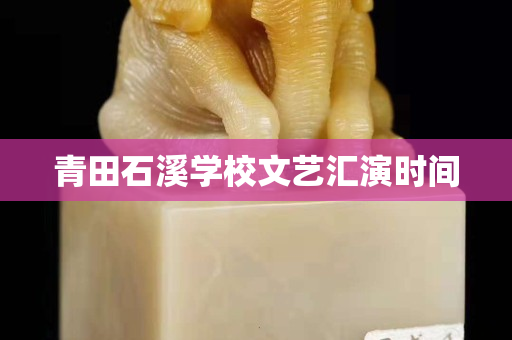 青田石溪學校文藝匯演時間