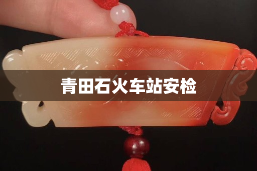 青田石火車站安檢