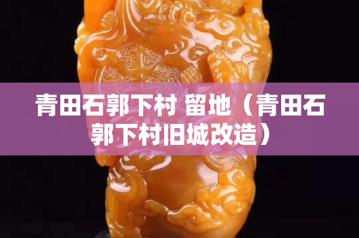 青田石郭下村 留地(青田石郭下村舊城改造) 青田石郭下村 留地(青田石郭下村舊城改造)