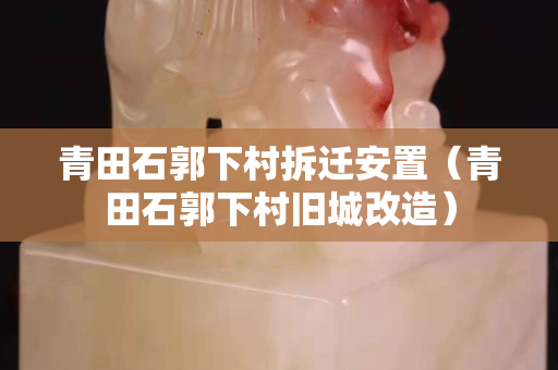 青田石郭下村拆遷安置(青田石郭下村舊城改造) 青田石郭下村拆遷安置(青田石郭下村舊城改造)