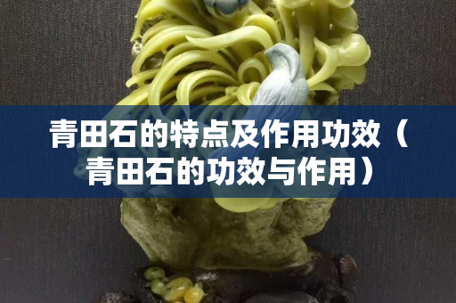 青田石的特點及作用功效(青田石的功效與作用) 青田石的特點及作用功效(青田石的功效與作用)