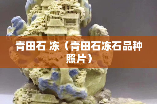 青田石 凍(青田石凍石品種照片) 青田石 凍(青田石凍石品種照片)