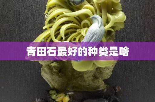 青田石最好的種類是啥