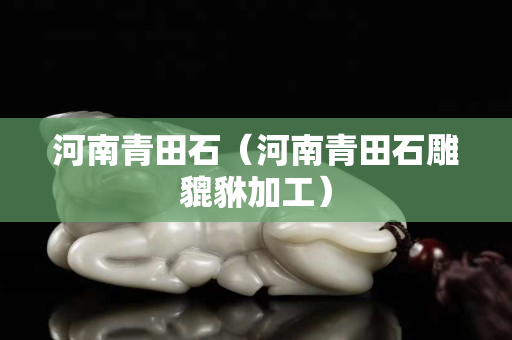 河南青田石（河南青田石雕貔貅加工）