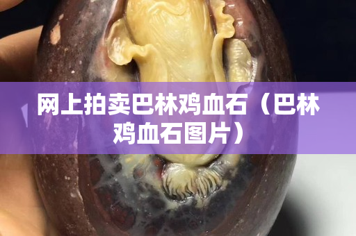 網上拍賣巴林雞血石（巴林雞血石圖片）