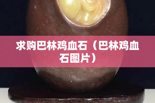 求購巴林雞血石(巴林雞血石圖片) 求購巴林雞血石(巴林雞血石圖片)