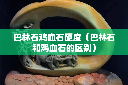 巴林石雞血石硬度(巴林石和雞血石的區(qū)別) 巴林石雞血石硬度(巴林石和雞血石的區(qū)別)