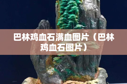 巴林雞血石滿血圖片(巴林雞血石圖片) 巴林雞血石滿血圖片(巴林雞血石圖片)