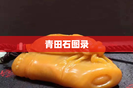 青田石圖錄 青田石圖錄