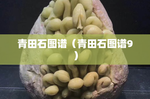 青田石圖譜(青田石圖譜9) 青田石圖譜(青田石圖譜9)