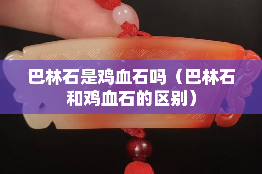 巴林石是雞血石嗎（巴林石和雞血石的區別）